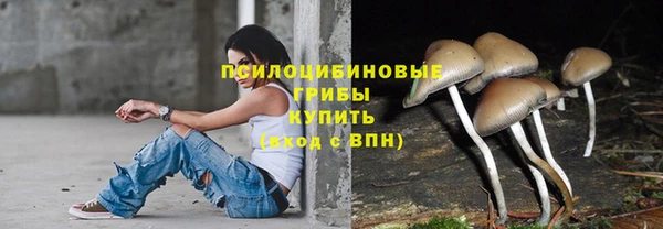 гидропоника Армянск