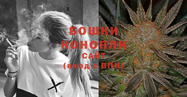 дмт Арсеньев