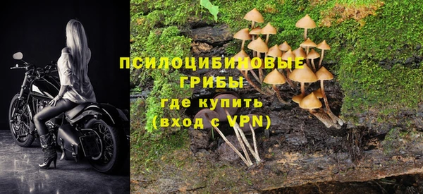 дживик Аркадак