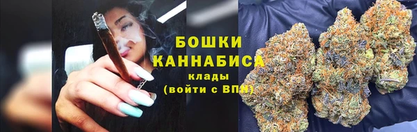 дмт Арсеньев